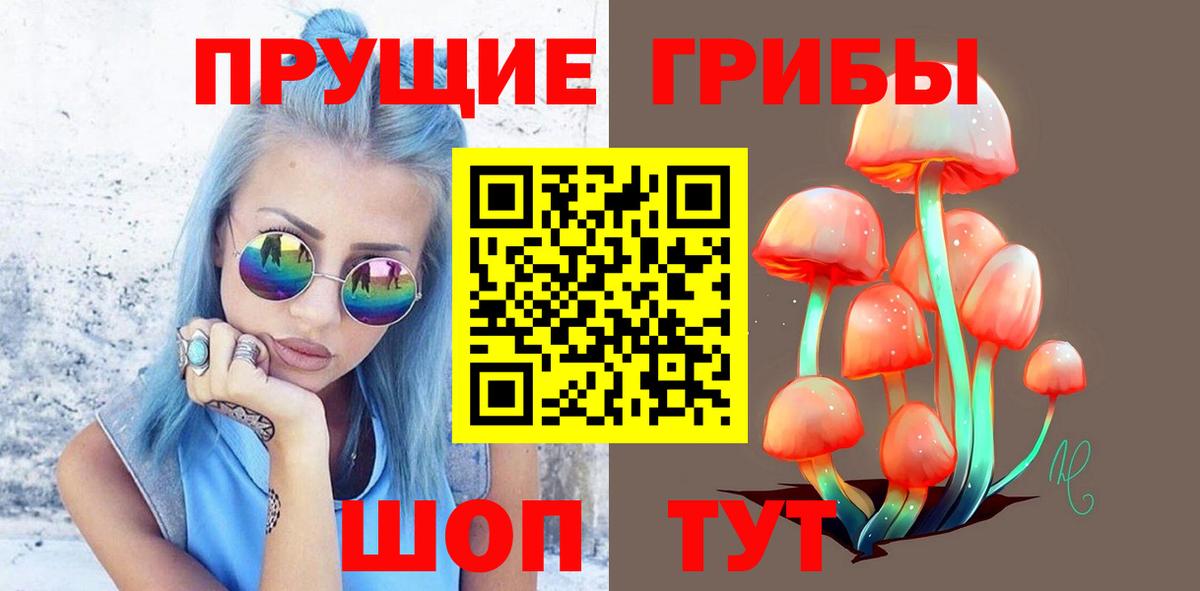 Верхняя Салда  Псилоцибиновые грибы Magic Shrooms  Вход с VPN  Псилоцибиновые грибы Magic Shrooms 